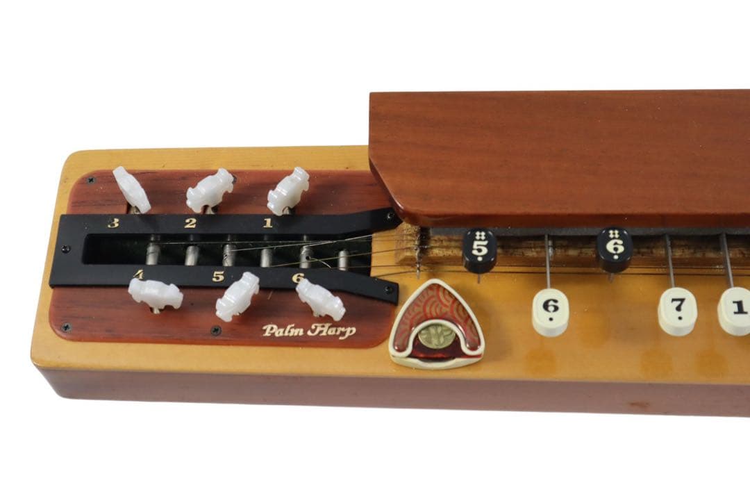 大正琴 PALM HARP ハードケース付き 簡易動作確認済み