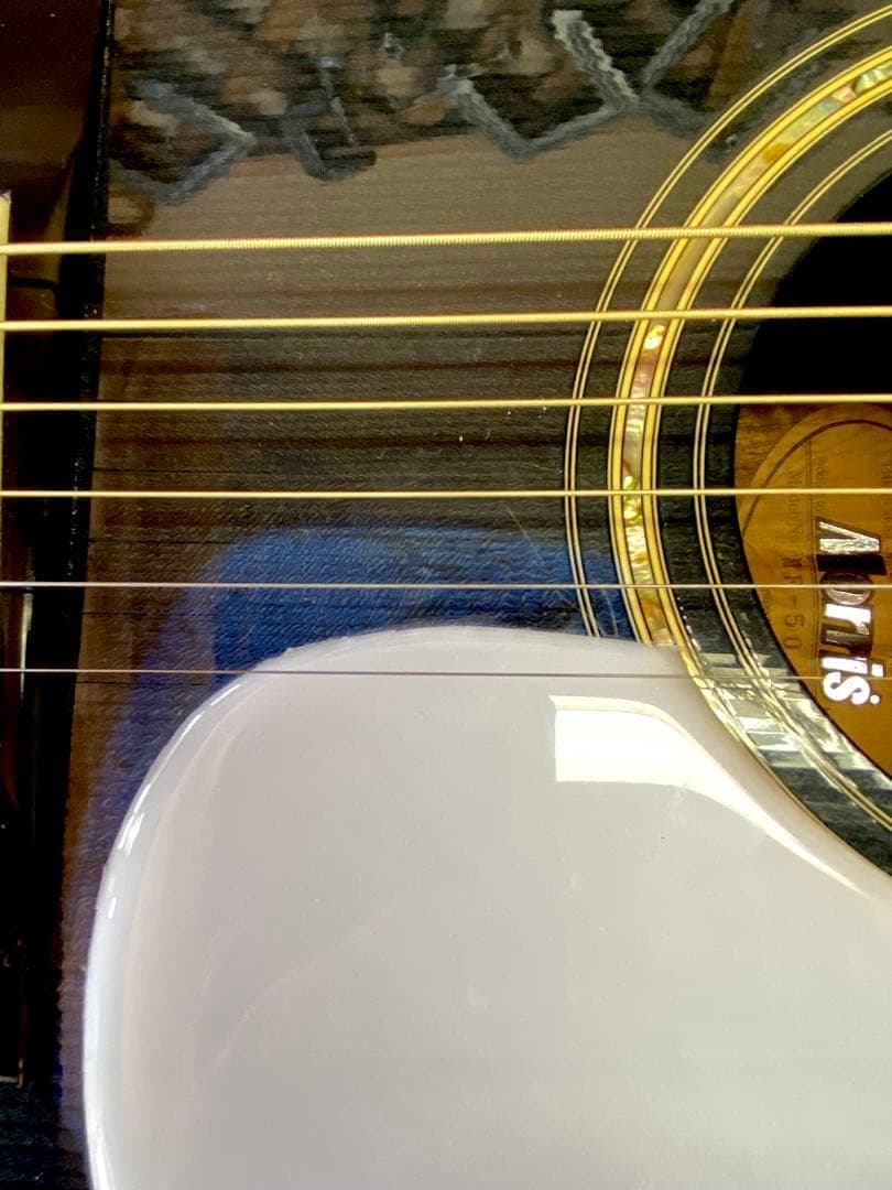 a*9様 大幅値下！90’代morrisモーリスMF50　トップ単板、ペグGOT