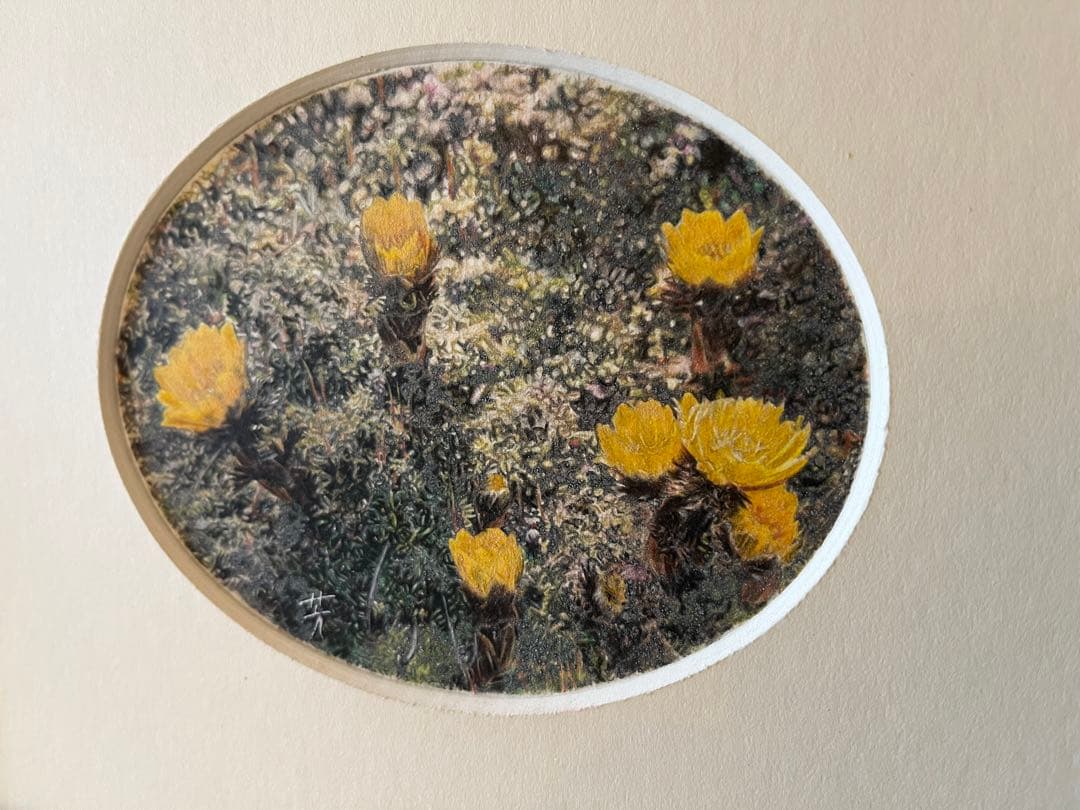 吉村芳生 鉛筆画 超絶技巧を超えて