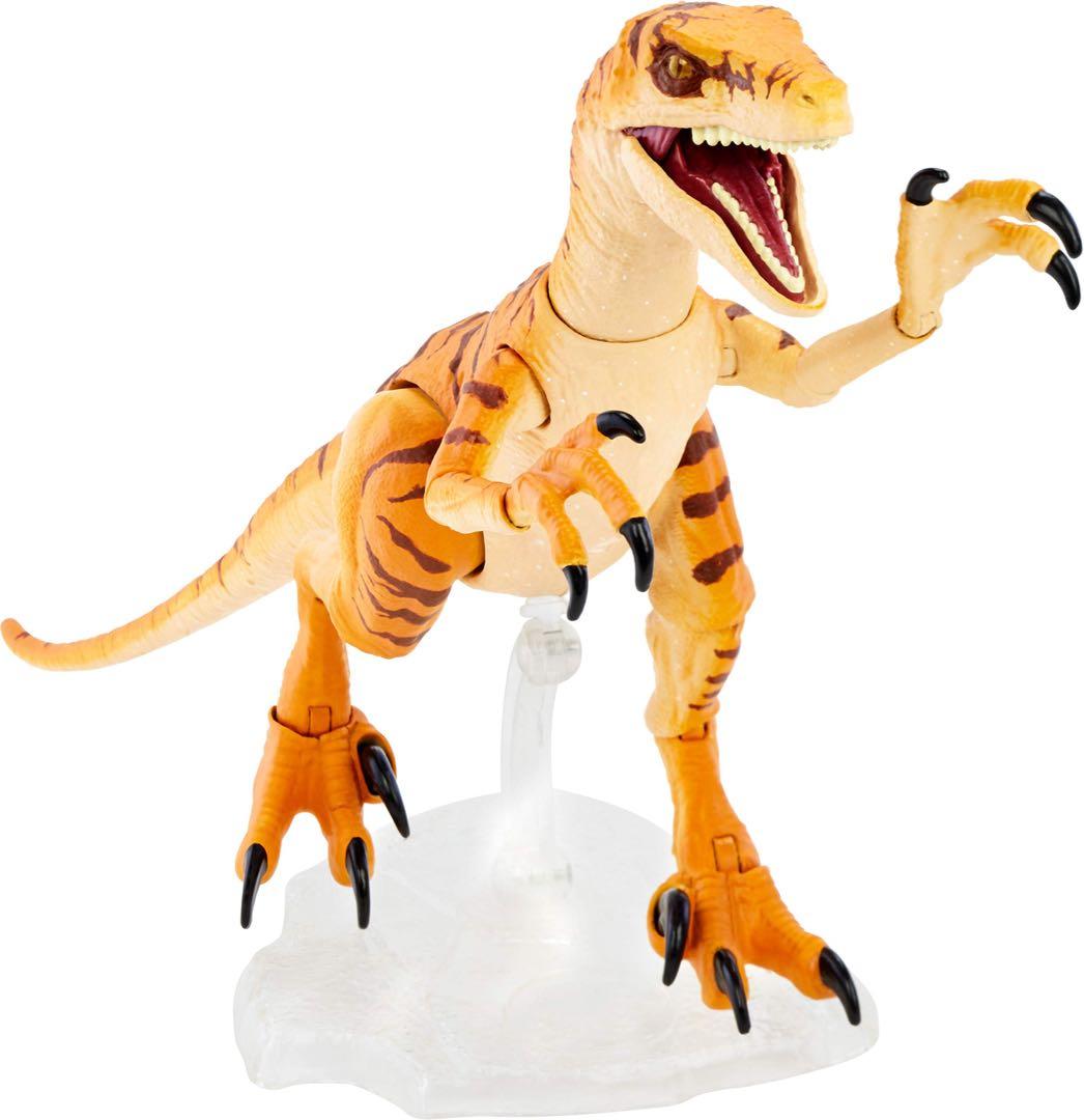 アンバーコレクション　VELOCIRAPTOR