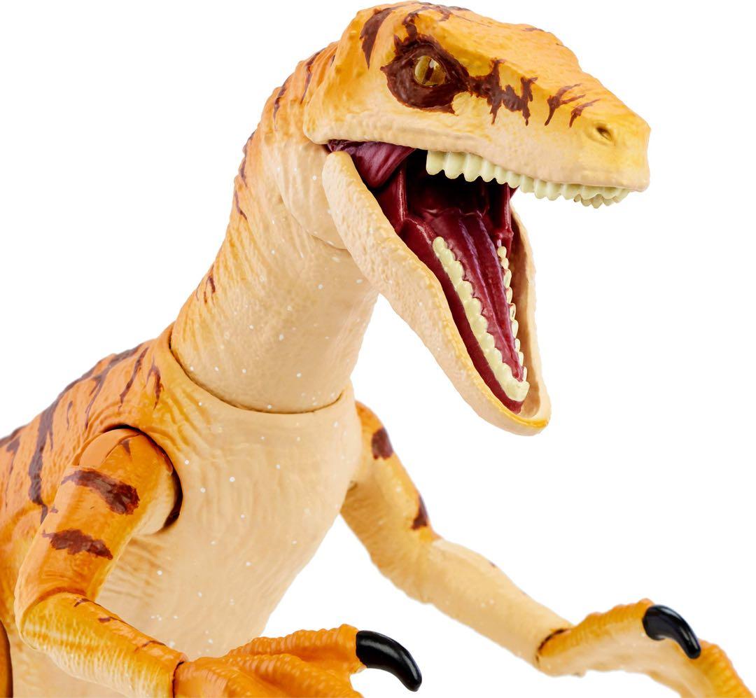 アンバーコレクション　VELOCIRAPTOR