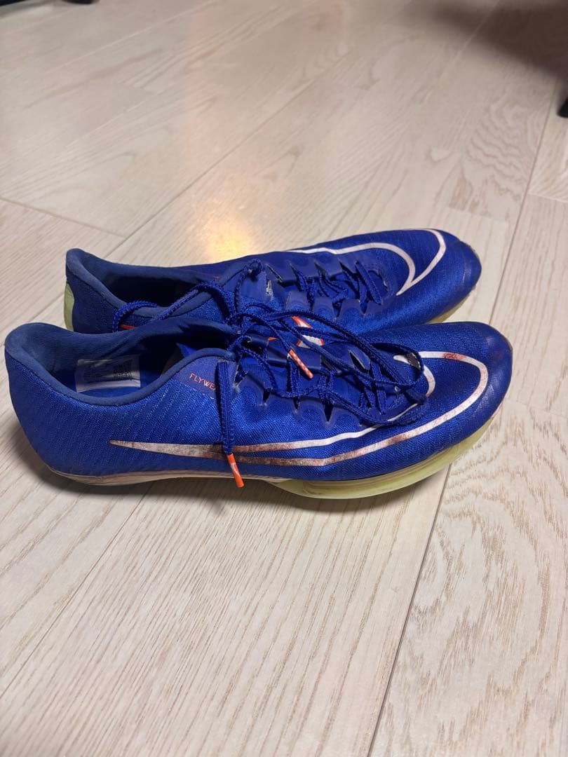 Nike マックスフライ1