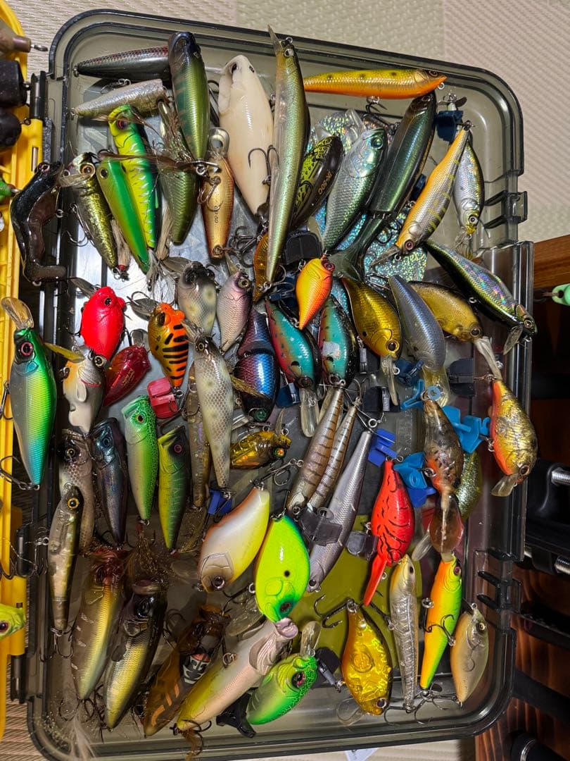 ブラックバス　ハードルアーセット