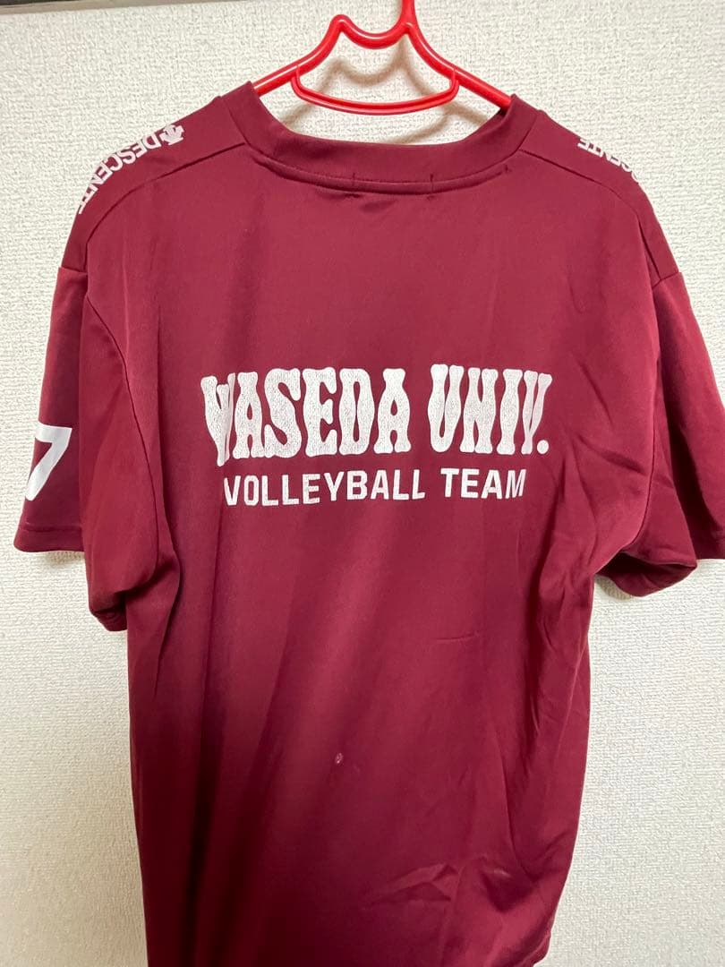 早稲田大学　バレーボール　Tシャツ