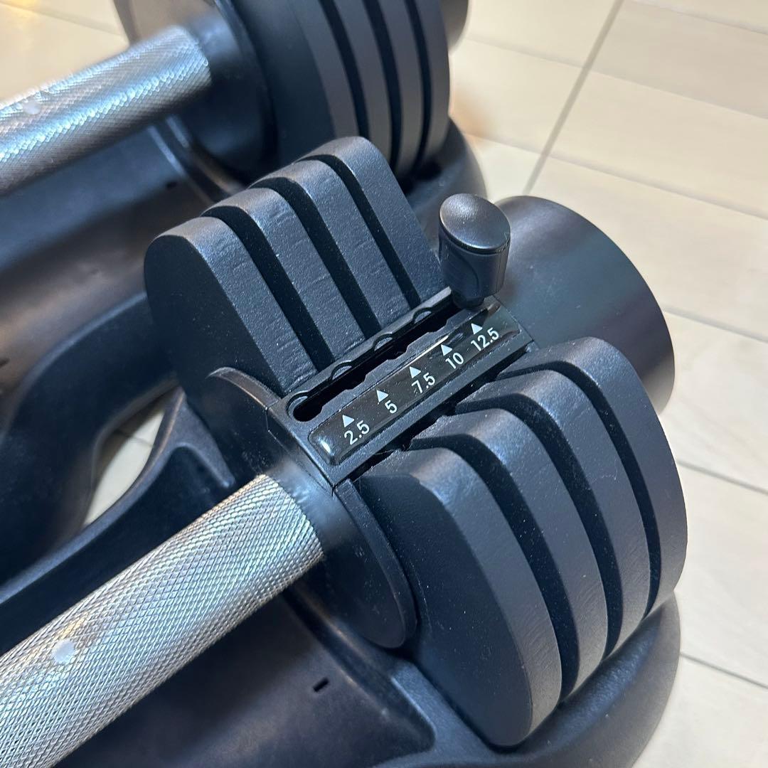 【2個セット】STEADY 12.5kg ダンベル