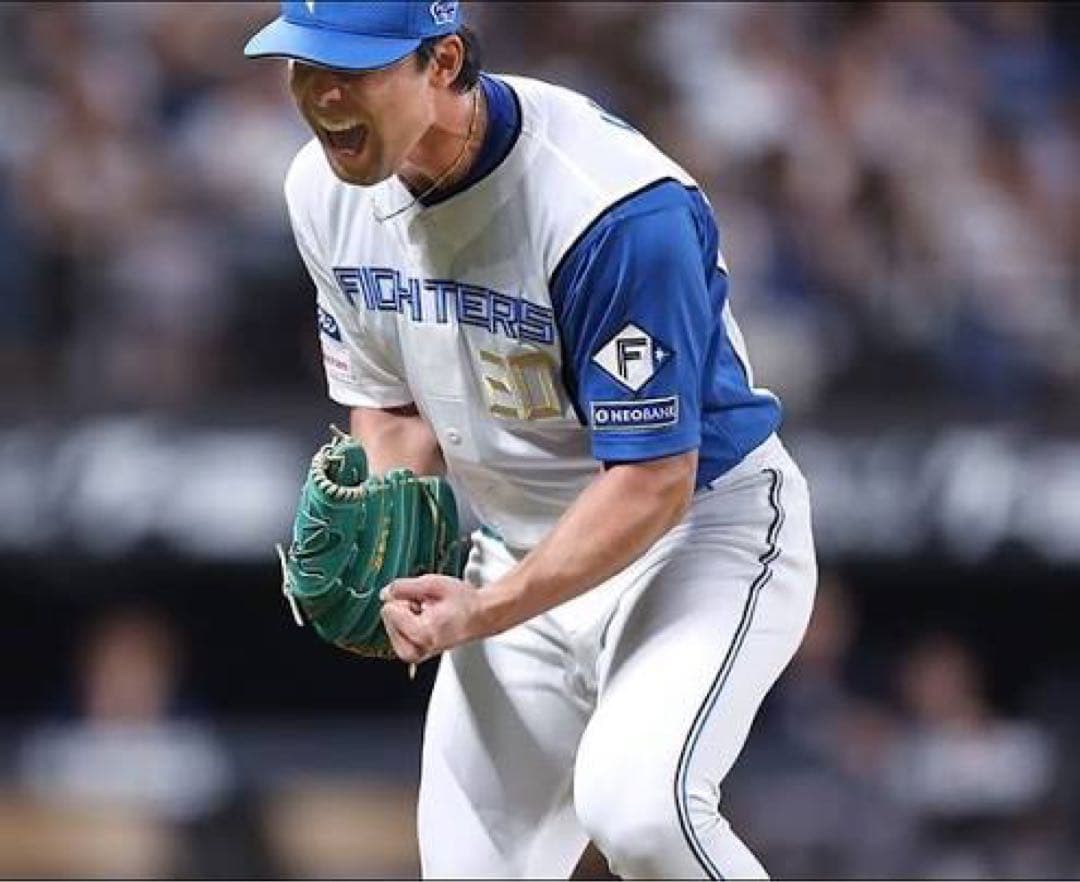 【実使用】値下げ交渉可日本ハム20番上原健太選手ZETT野球スパイク30cm