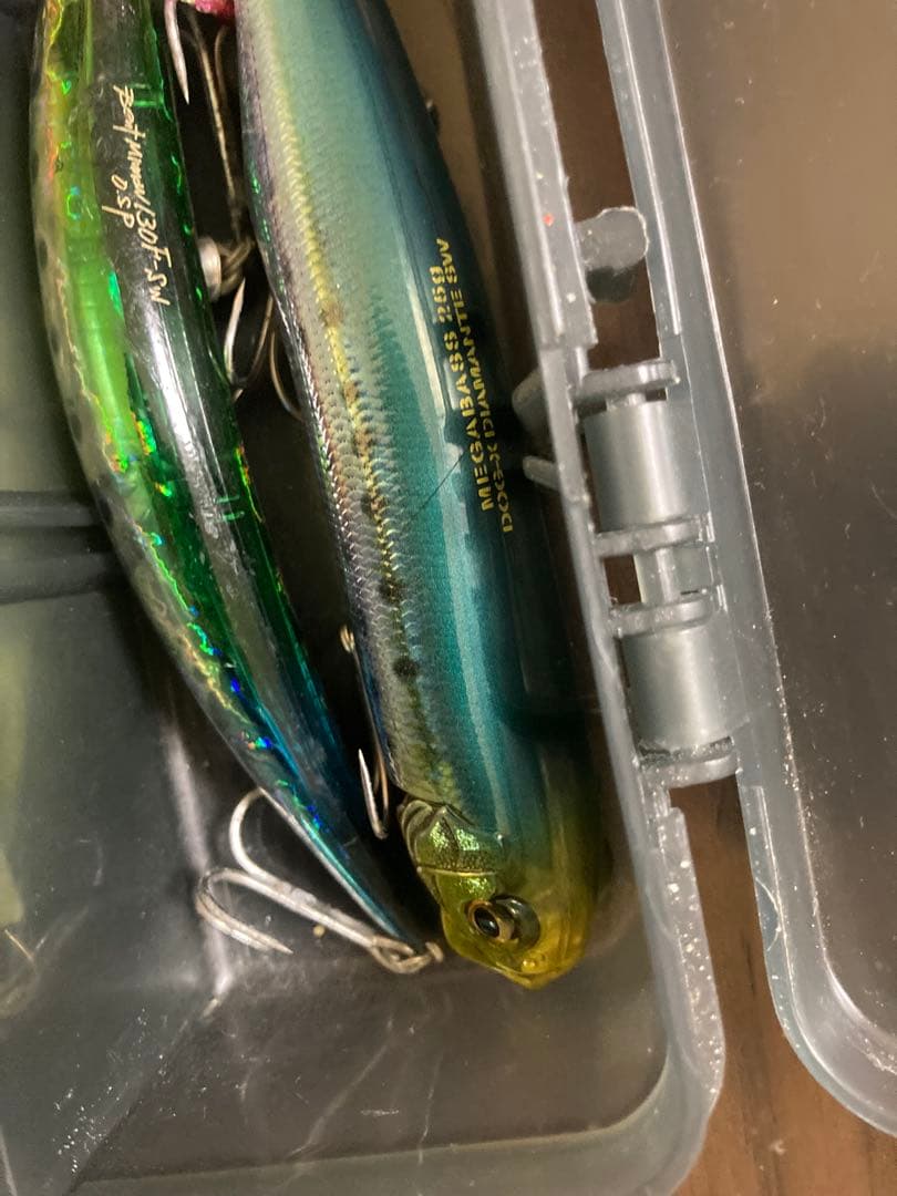 シーバス引退セット