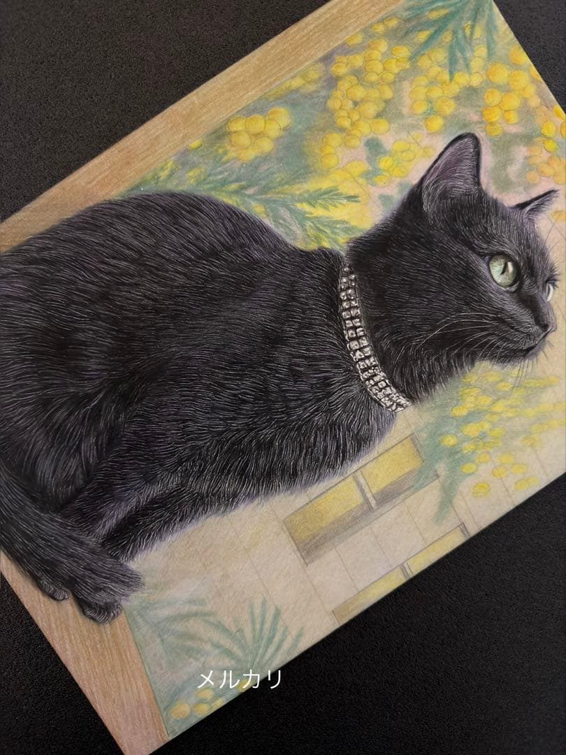 色鉛筆画.A4. ミモザに包まれた黒猫
