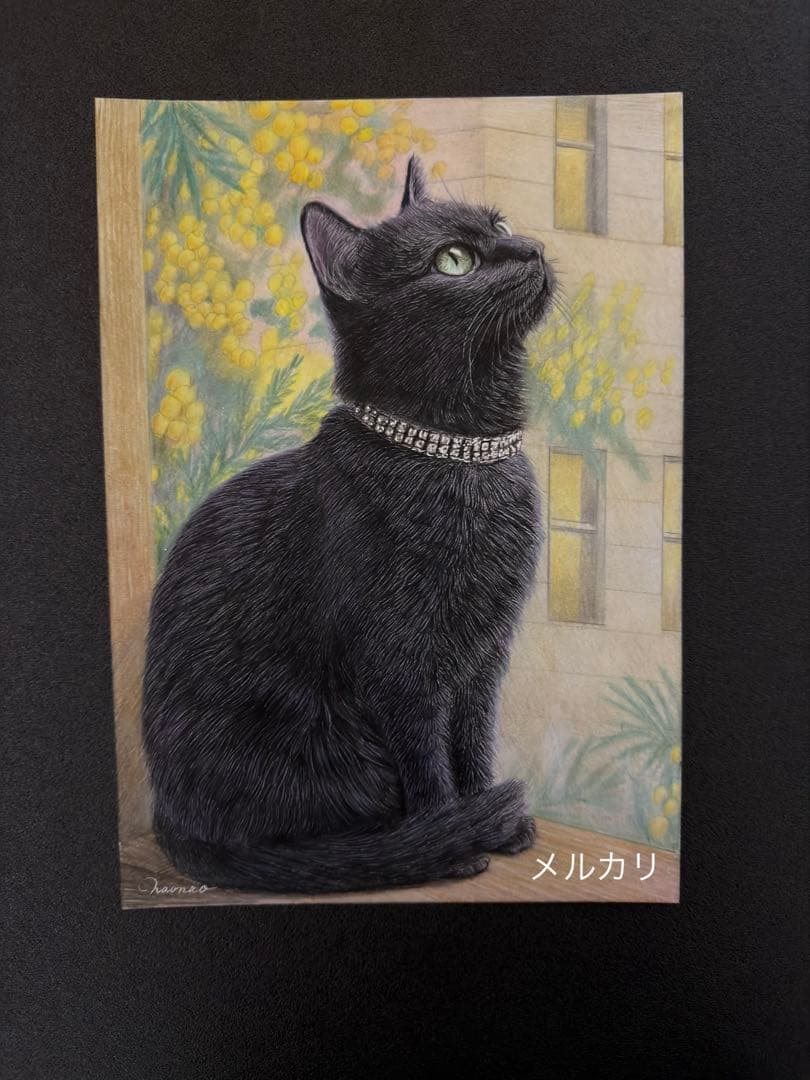 色鉛筆画.A4. ミモザに包まれた黒猫