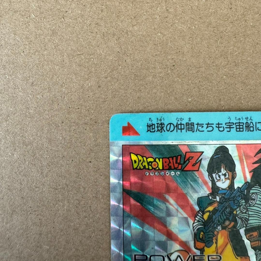 【貴重商品】ドラゴンボール カードダス PPカード 地球の仲間 キラカード レア