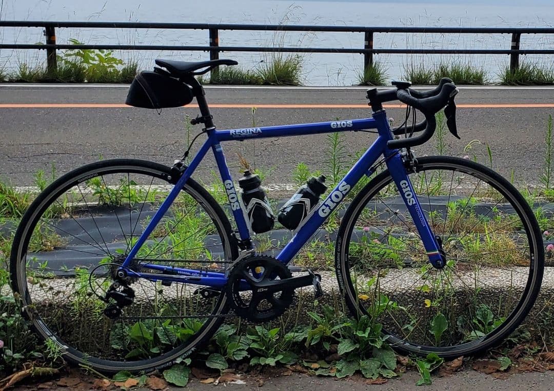 l*k様 GIOS REGINA ロードバイクフレーム
