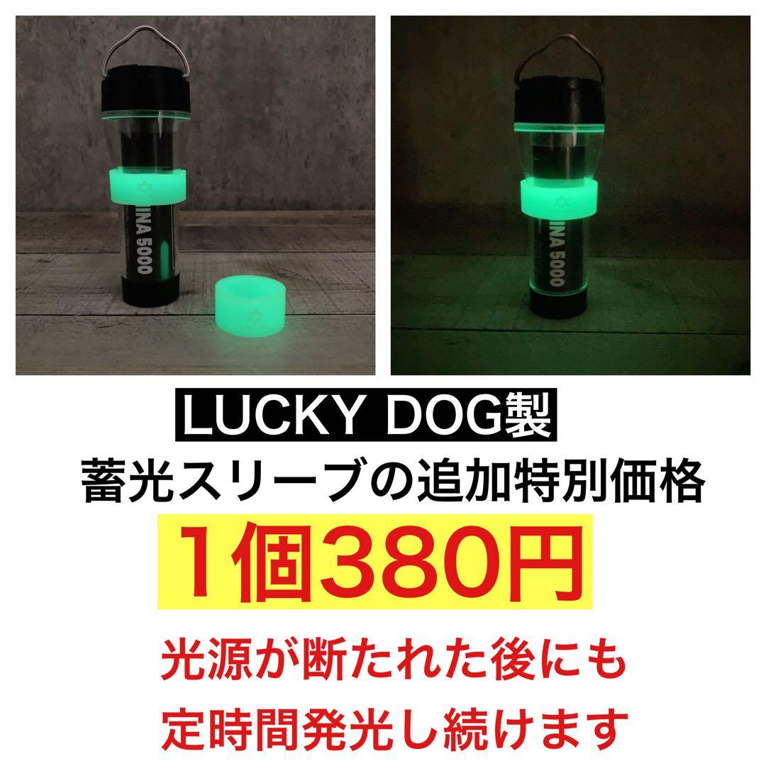 2個　最安値　lumina5000 ルミナ5000 スームルーム　ゴールゼロ　④