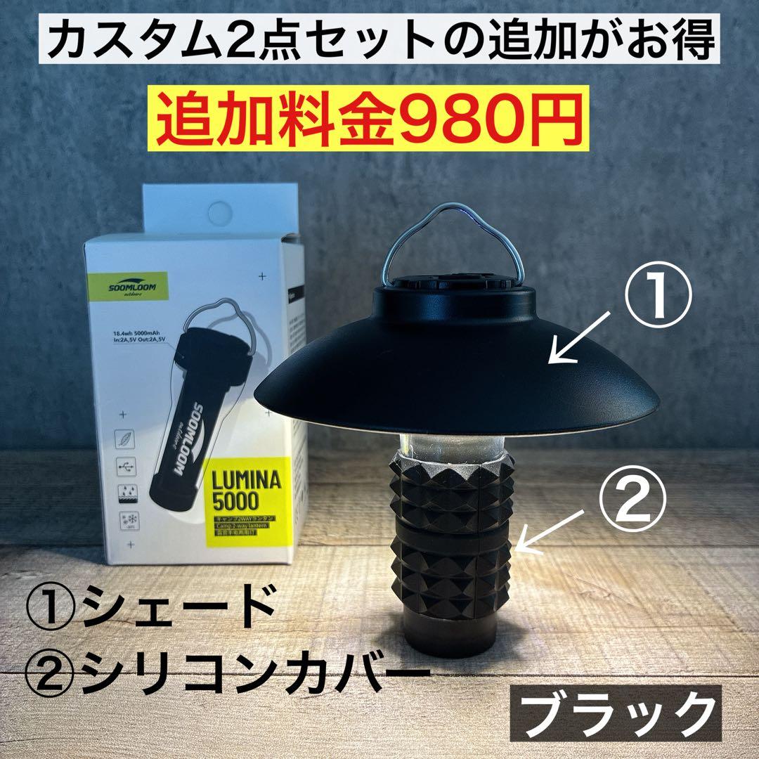 2個　最安値　lumina5000 ルミナ5000 スームルーム　ゴールゼロ　④