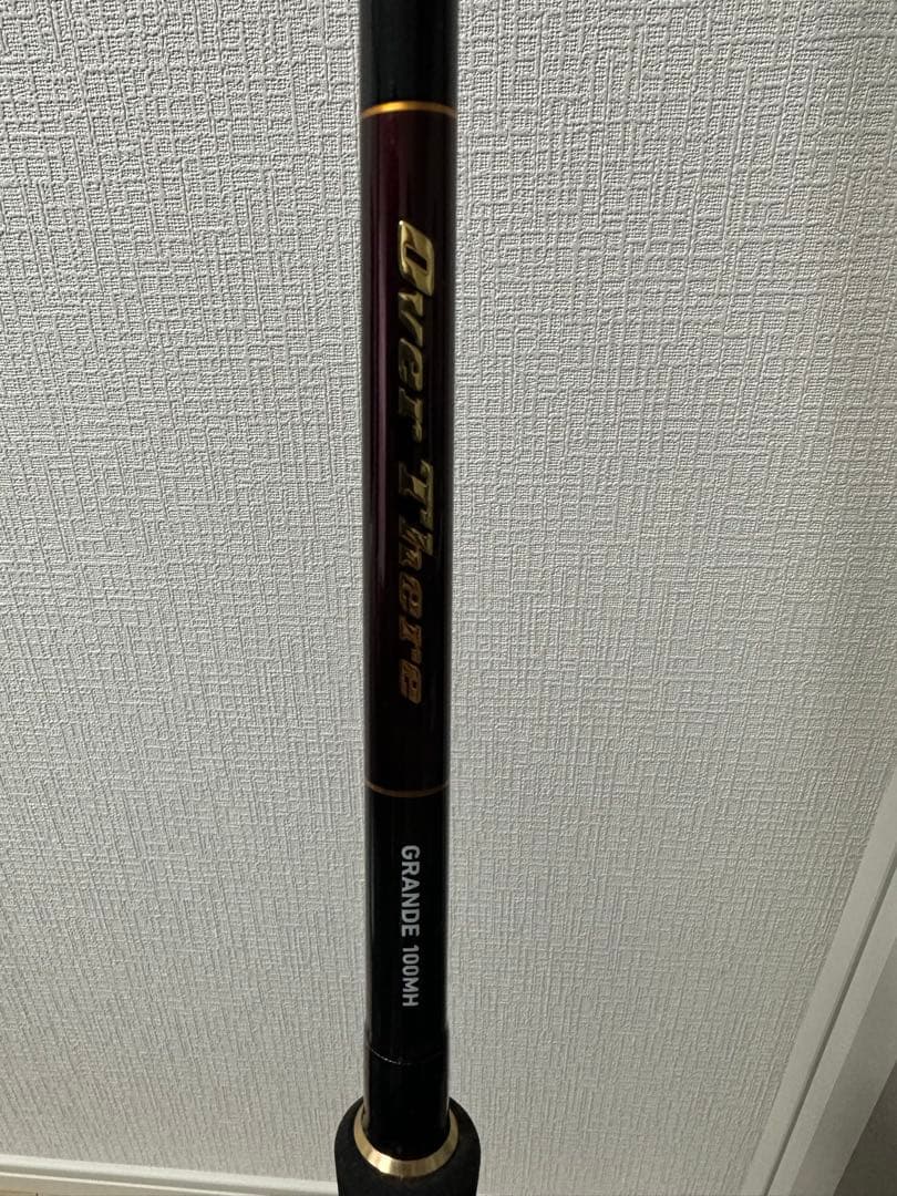 Daiwa オーバーゼアグランデ100MH