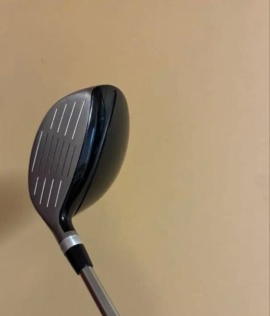 ロッディオ　5W
