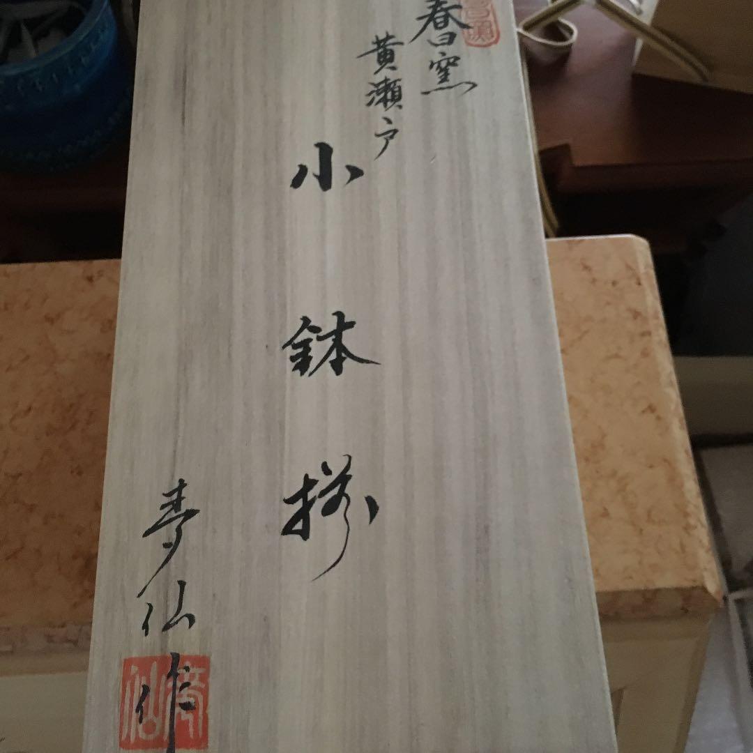 美濃焼 黄瀬戸 皿5枚セット