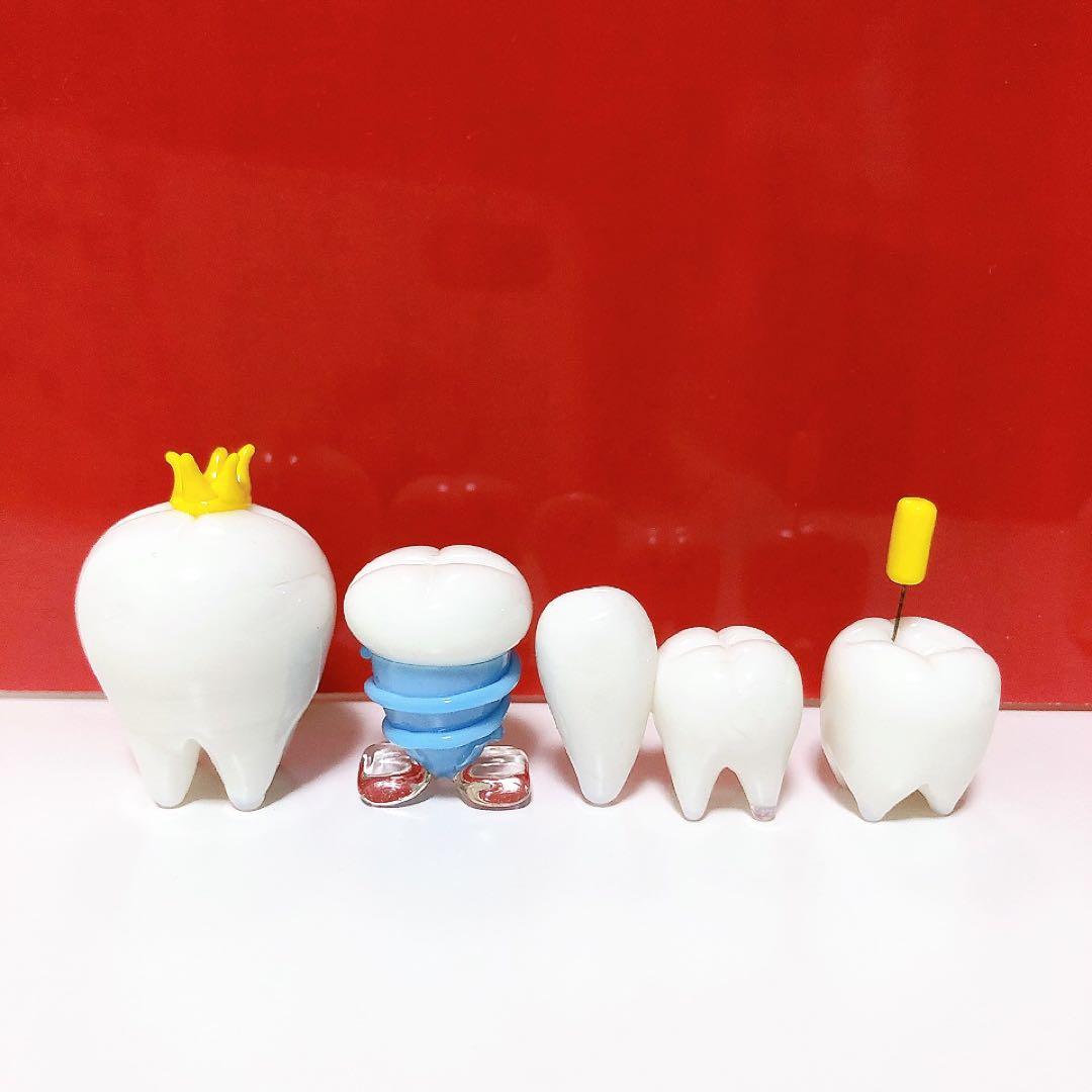 ガラス細工 歯の7点セット