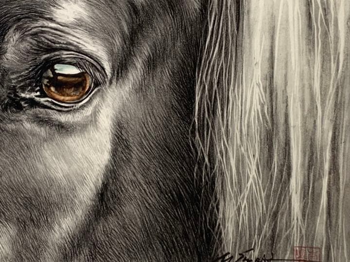 画家 白井真澄 木炭肉筆デッサン画 原画 真筆保証品 額入horse NO.22