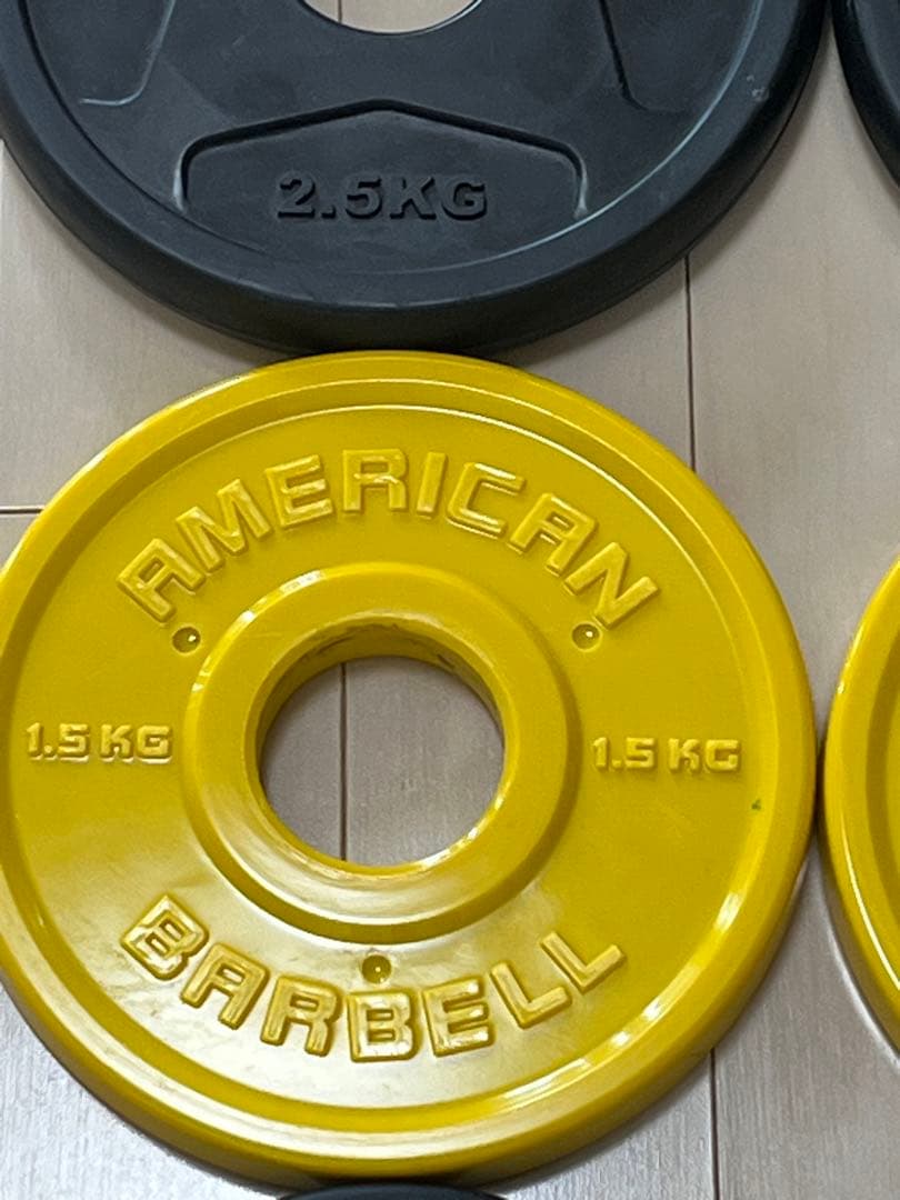 アメリカンバーベル、イヴァンコ他50ミリバーベルプレート20.5kgセット