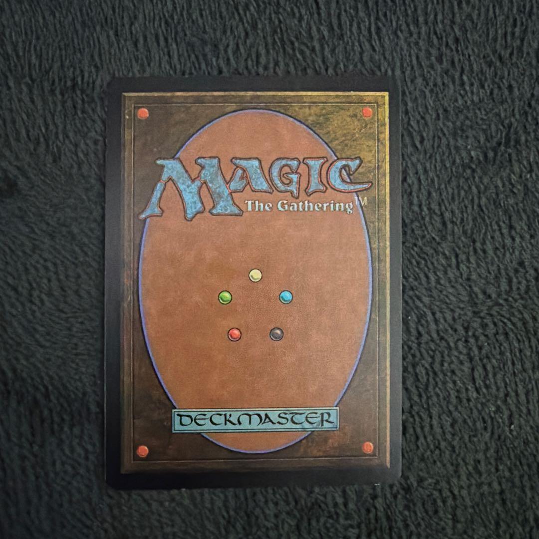 MTG ヒッコリーの植林地foil