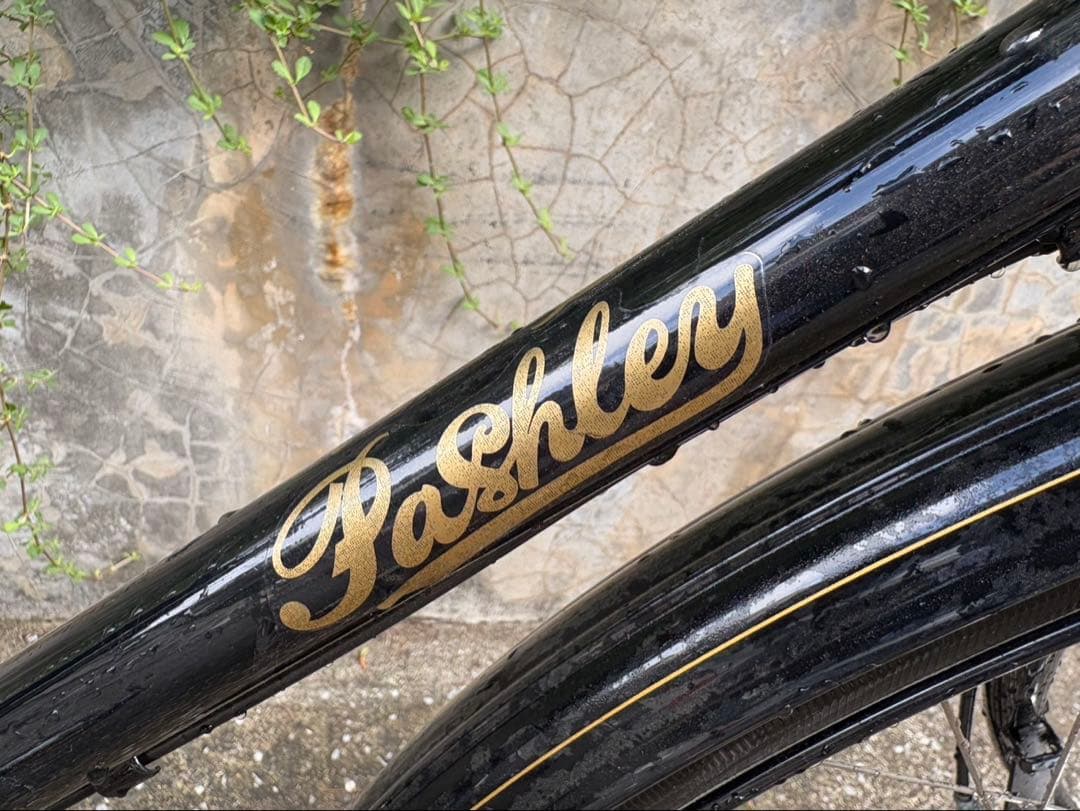 Pashley（パシュレー） ロードスター ソブリン 20.5