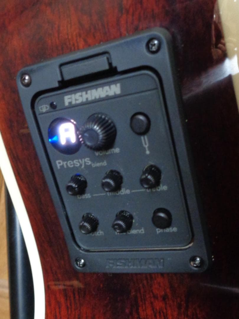 James J-350C EBU　Fishman製ピックアップ　美品！