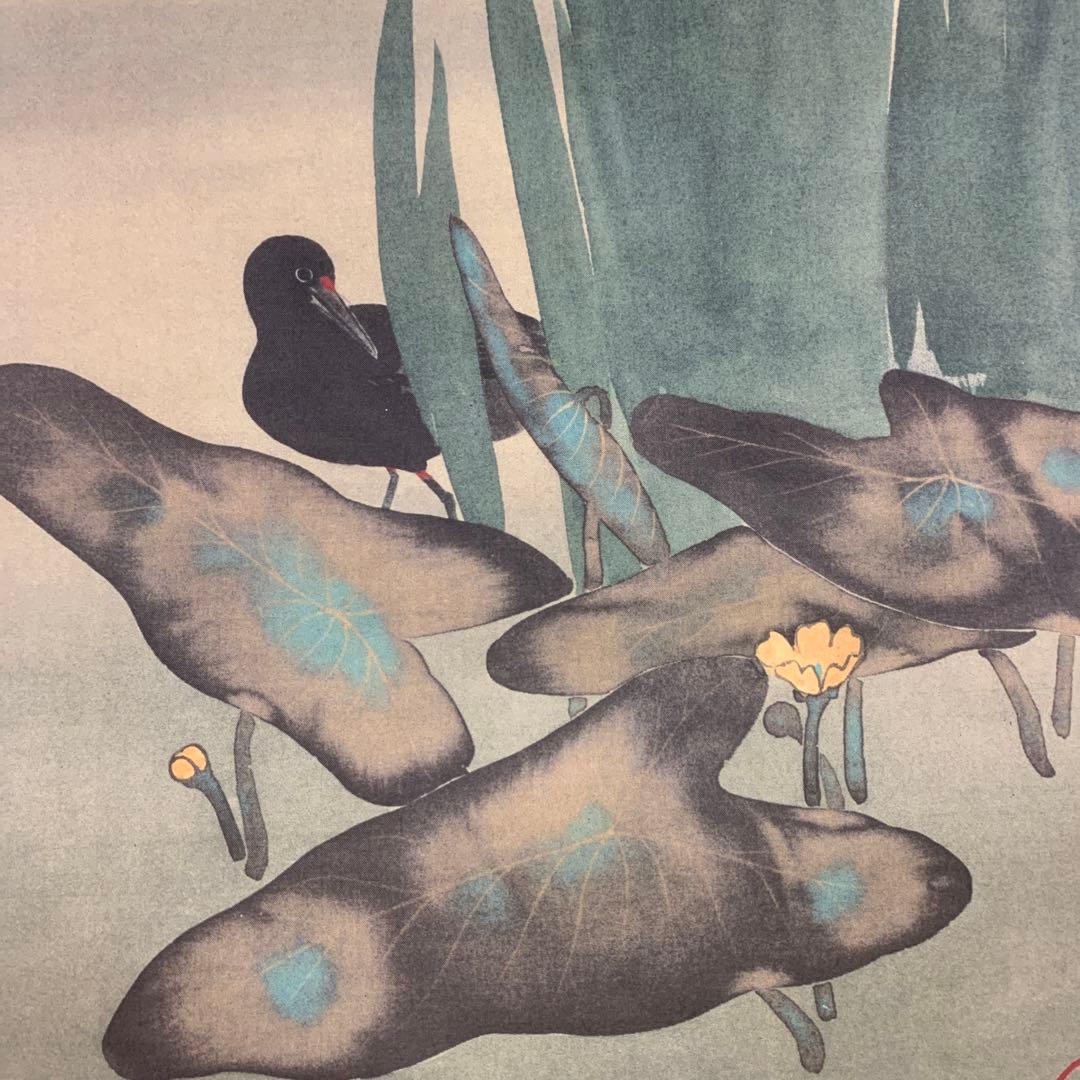 美品 掛け軸 酒井抱一筆 燕子花に水鳥図 十二ヶ月花鳥（五月）解説付き
