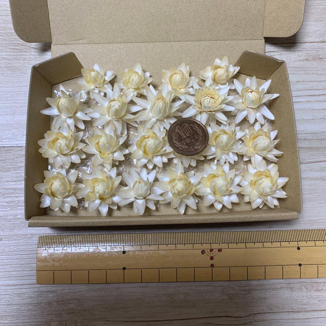 ご確認用② ヘリクリサムドライフラワー　花材　リース　ハーバリウム