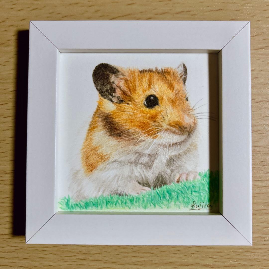 色鉛筆画　みっちーページ