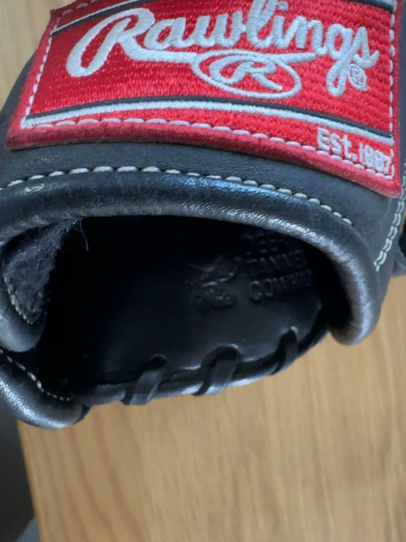 Rawlings 野球グローブ The Gold Glove Co.