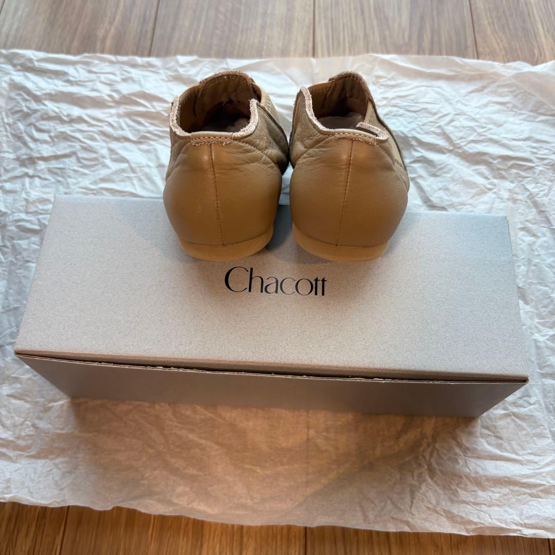 Chacott ストレッチジャズシューズ 23.0