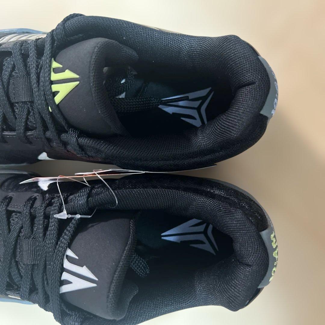 【値下げ】NIKE バッシュ JA2