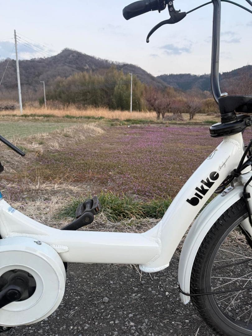 ホワイト 電動アシスト自転車 インチ
