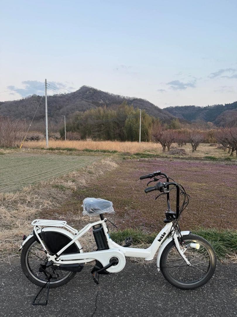 ホワイト 電動アシスト自転車 インチ