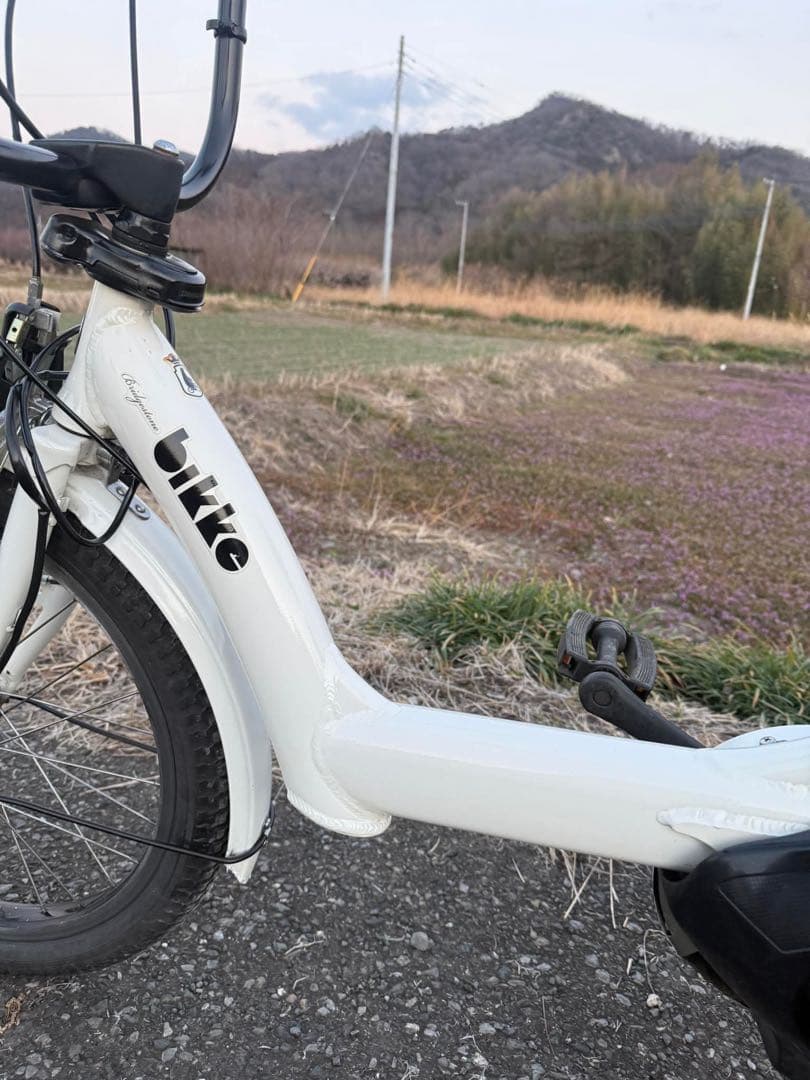 ホワイト 電動アシスト自転車 インチ