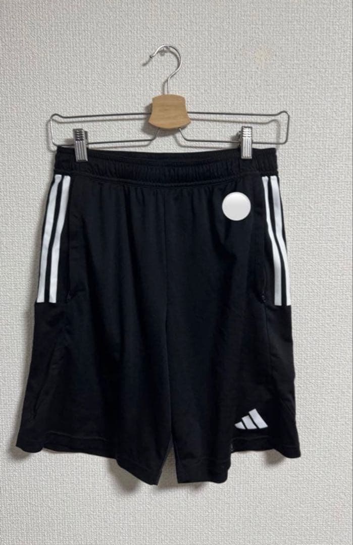 帝京　選手権