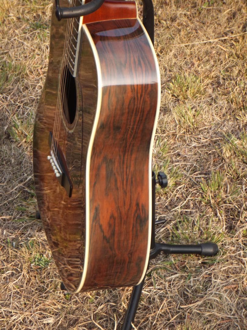 Morris M-601 TOP単板　ハカランダ　良品　ハードケース付き