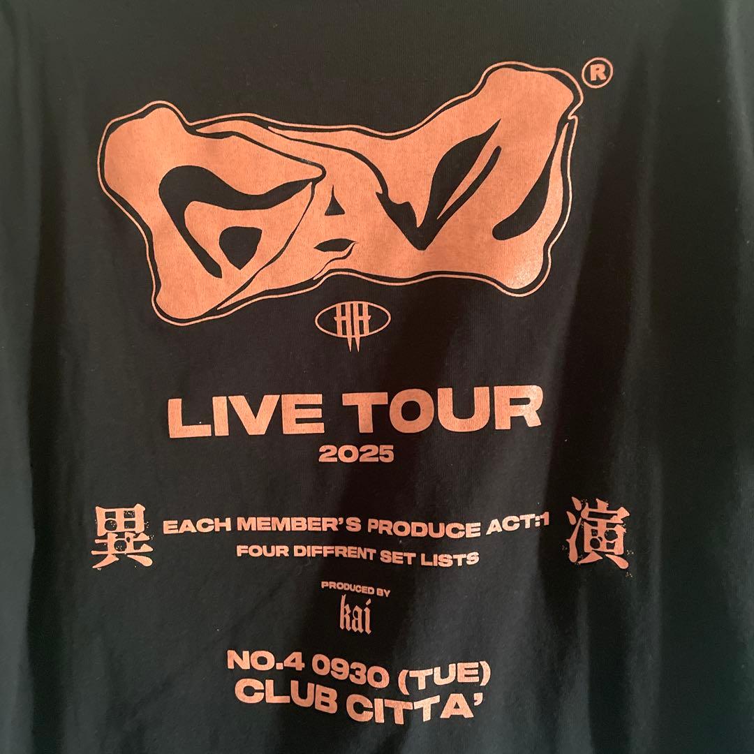 theGazettE 戒さんのライブグッズTシャツ