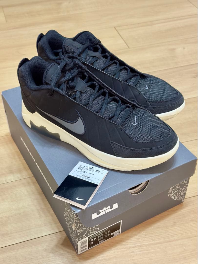 極美品28.5cm NIKE LeBron witness 9