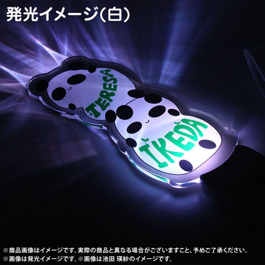 乃木坂46 井上和 2026年 福袋 Luckybag ペンライト