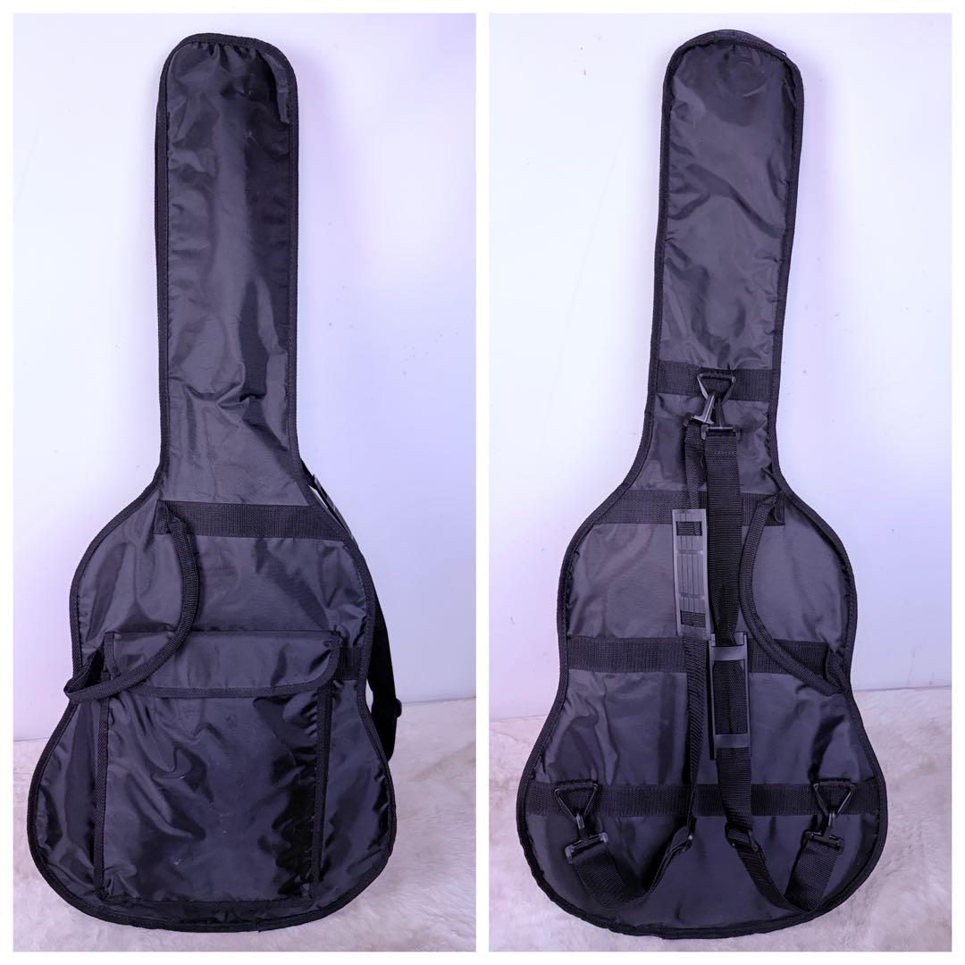 超美品 Aria AF-201 アコースティックギター 新品付属品多数 ケース付