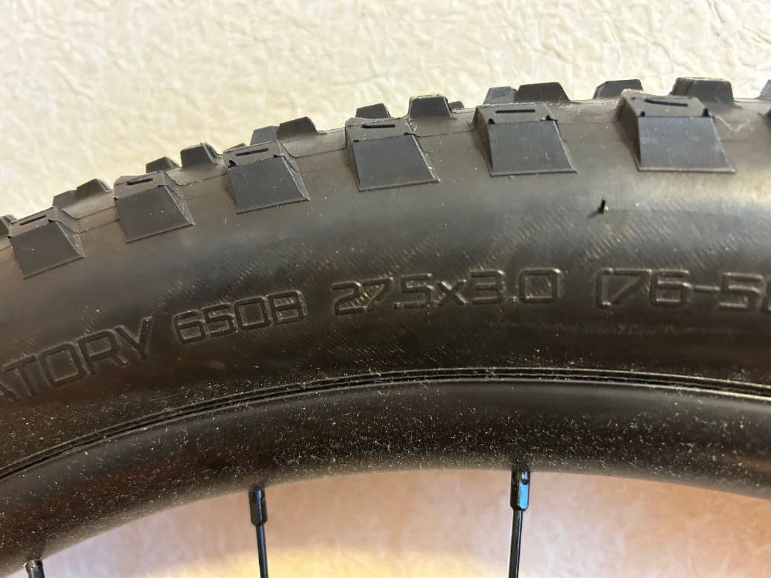 【yama yoko】 PURGATORY 27.5x3.0 2本セット