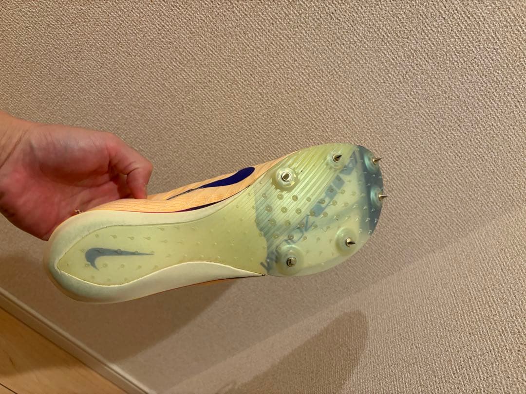 Nike マックスフライ２　28.0cm 美品