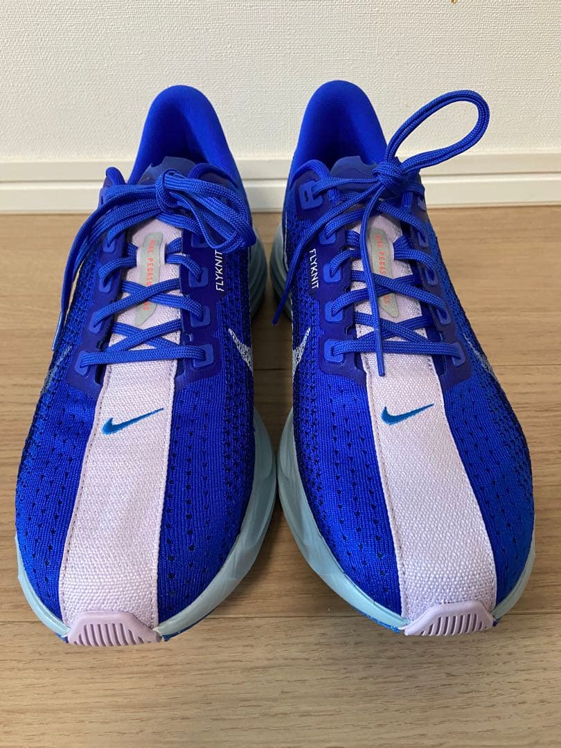 NIKE ナイキ Pegasus plus ペガサスプラス 28㎝