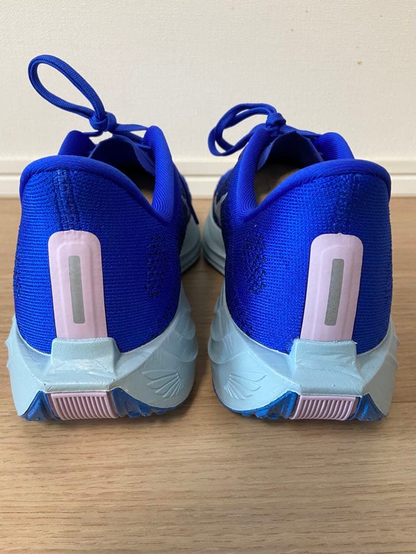 NIKE ナイキ Pegasus plus ペガサスプラス 28㎝