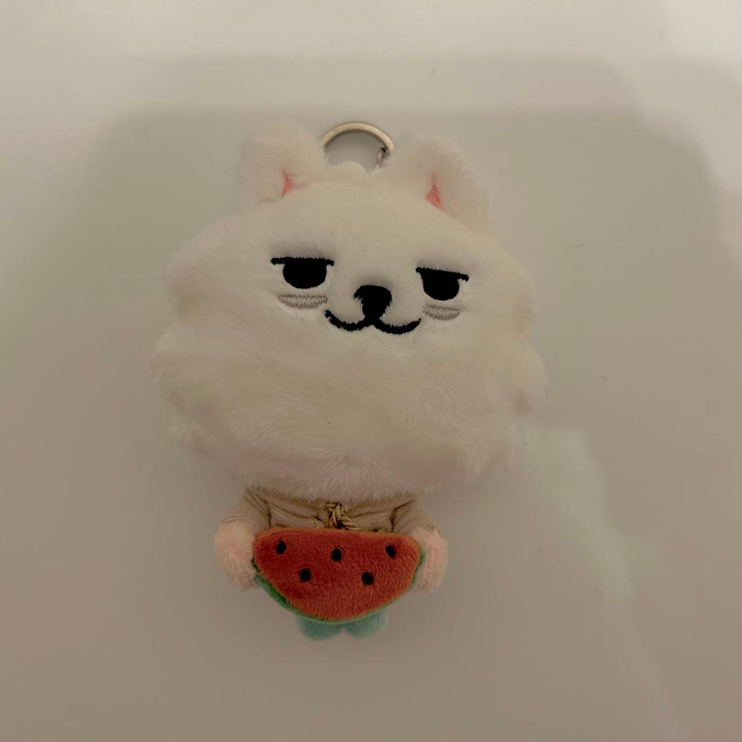 PPULBATU TXT チェ・ヨンモン スビン キーリング