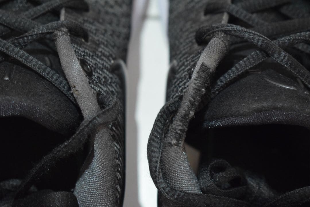 最終値下げ[大人気]NIKE ハイパーダンク2017LOW 29cm バッシュ