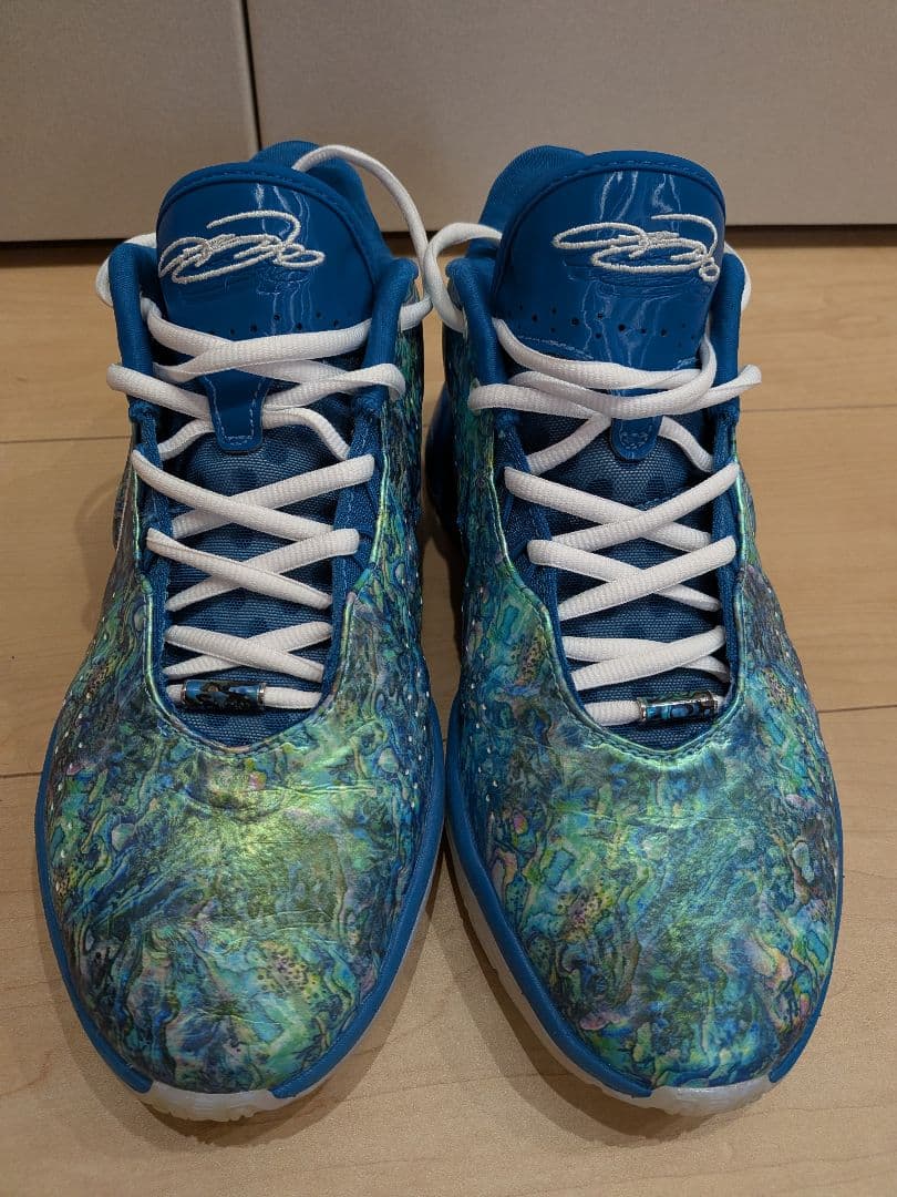 【ほぼ未使用】Lebron21 25.5cm US 7.5
