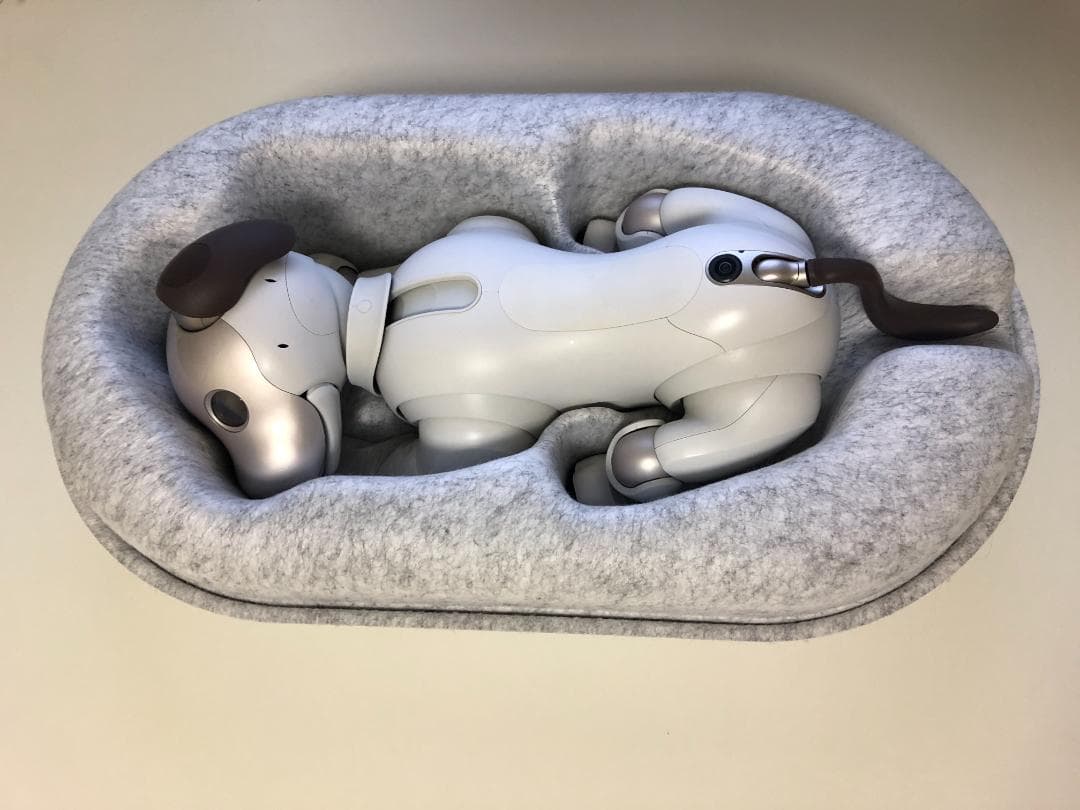 SONY aibo アイボ 本体 ERS-1000