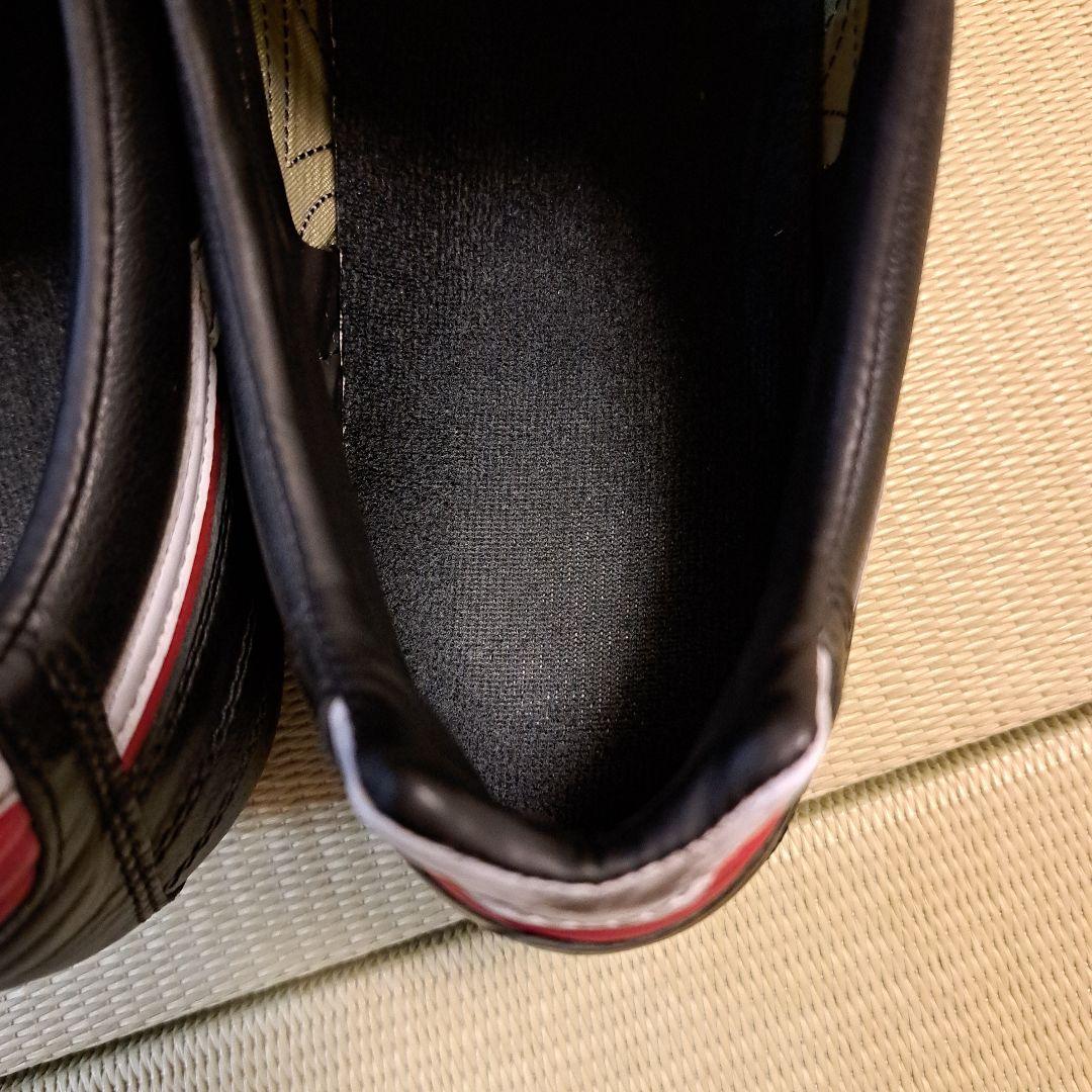 Mizuno Professional Model サッカースパイク